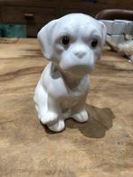 Kleine witte hond 14 cm, Comme neuf, Enlèvement ou Envoi