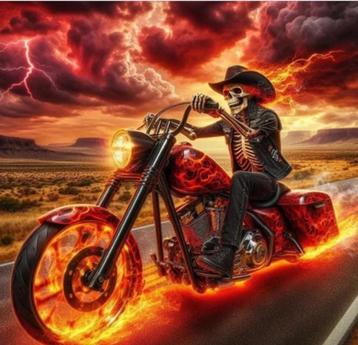 Diamond Painting motorrijder vuur beschikbaar voor biedingen