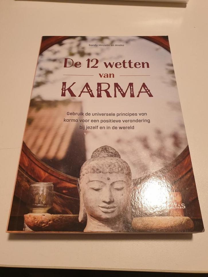 Sandy Hinzelin - De 12 wetten van Karma, Livres, Religion & Théologie, Bouddhisme, Enlèvement ou Envoi