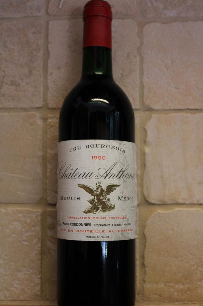 Chateau Anthonic 1990 Moulis Cru Bourgeois, Verzamelen, Wijnen, Zo goed als nieuw, Rode wijn, Frankrijk, Vol, Ophalen
