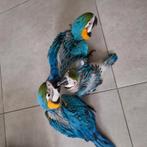 Blauwgele ara, Dieren en Toebehoren, Vogels | Parkieten en Papegaaien, Geringd