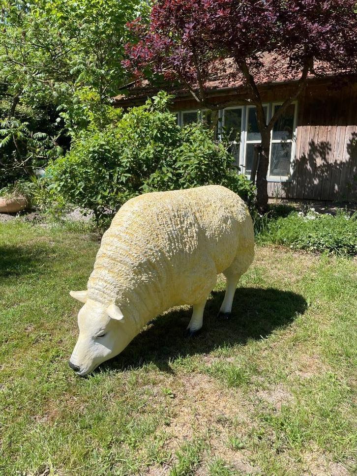 Texel schaap, eye catcher tuin, boerderij, 100 cm, Tuin en Terras, Tuinbeelden, Nieuw, Dierenbeeld, Kunststof, Ophalen
