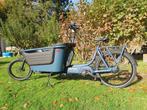 Winora elektrische bakfiets, Neuf, Autres marques, Enlèvement, 2 enfants