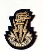 TTr - geborduurde badge voor kepi (Bullion), Verzamelen, Verzenden, Landmacht, Embleem of Badge