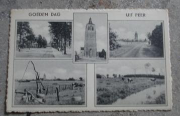 Postkaart van Peer beschikbaar voor biedingen