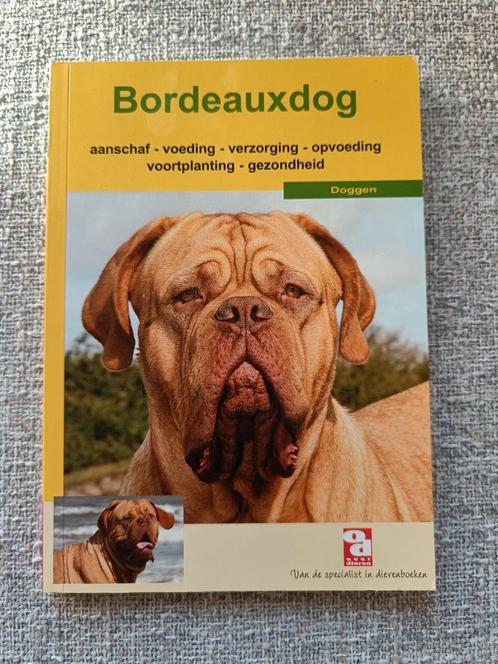 Bordeauxdog, Boeken, Dieren en Huisdieren, Zo goed als nieuw, Ophalen of Verzenden