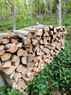 Hêtre sec coupé en bûches de 40 cm, Jardin & Terrasse, Bois de chauffage, 6 m³ ou plus, Envoi, Hêtre, Bûches