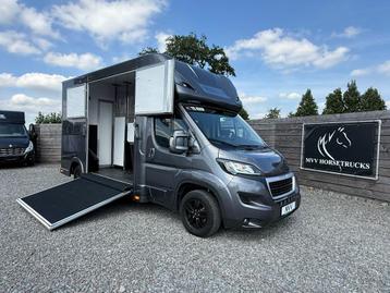 PEUGEOT BOXER PAARDENWAGEN 2017 | NIEUWE OPBOUW MVV 2025 beschikbaar voor biedingen