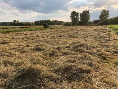 Hooi te koop, Dieren en Toebehoren, Dierenvoeding, Ophalen