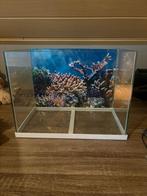 Aquarium, Ophalen, Zo goed als nieuw