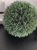 Kunstplant, Enlèvement