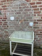 VOGELKOOI VOOR VALKPARKIET NU 85 EURO, Dieren en Toebehoren, Vogels | Hokken en Kooien, Ophalen, Zo goed als nieuw, Metaal, Vogelkooi