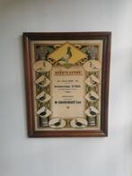 Diplome duiven kampioen 1939, Antiquités & Art, Art | Lithographies & Sérigraphies, Enlèvement ou Envoi