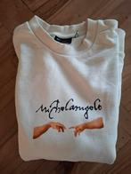 Mooie trui maat S "Oversized", Ophalen of Verzenden, Maat 36 (S)