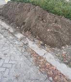 GRATIS - zuivere zwarte grond, Tuin en Terras, Zand, Ophalen, Zo goed als nieuw