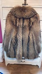 Magnifique veste en fourrure tanuki, Kleding | Dames, Ophalen of Verzenden, Gedragen, Maat 42/44 (L), Bruin