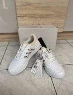 Basket Adidas hoops 3.0 leopard, Vêtements | Hommes, Chaussures, Neuf, Enlèvement ou Envoi, ADIDAS, Blanc