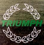 TRIUMPH - 1981 van Triumph Motor Company Autofolder, Boeken, Triumph Motor Company, Overige merken, Zo goed als nieuw, Verzenden