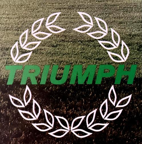 TRIUMPH - 1981 de Triumph Motor Company Autofolder, Livres, Autos | Brochures & Magazines, Comme neuf, Autres marques, Envoi