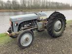 Massey Ferguson Oldtimer tractor, Zakelijke goederen, Landbouw | Tractoren, Oldtimer, Massey Ferguson