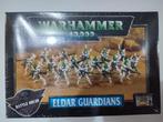 De gevechtsploeg van Eldar Gardian, Hobby en Vrije tijd, Ophalen of Verzenden, Nieuw, Warhammer 40000, Figuurtje(s)