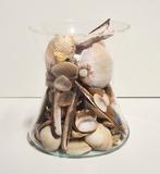 Laag vaasje - openvallend model + schelpen, Wit, Ophalen of Verzenden, Minder dan 50 cm, Glas