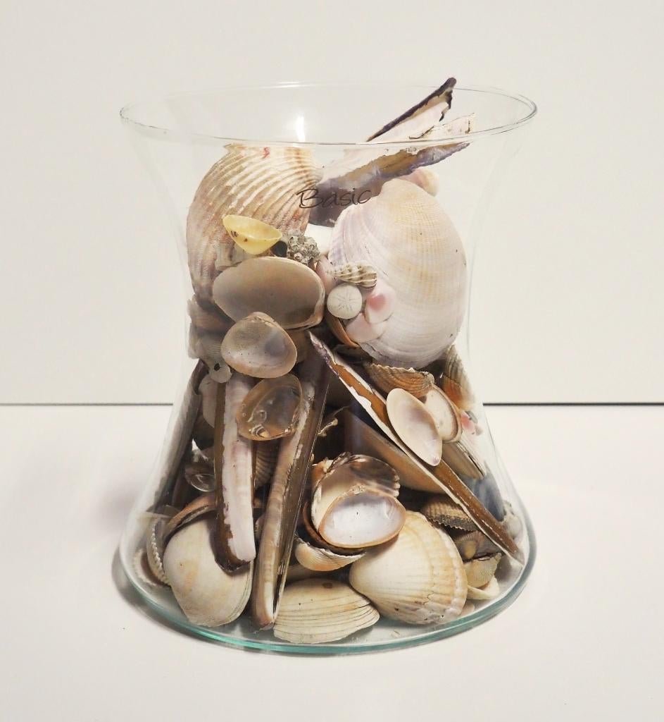 Laag vaasje - openvallend model + schelpen, Maison & Meubles, Accessoires pour la Maison | Vases, Comme neuf, Blanc, Moins de 50 cm