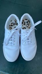 Chaussures en toile superdry, Kleding | Dames, Schoenen, Ophalen, Superdry, Wit, Zo goed als nieuw