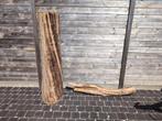 Beuken stam, Tuin en Terras, Brandhout, Ophalen