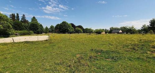 Pension prairie, Dieren en Toebehoren, Stalling en Weidegang, Weidegang