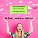 Hobby - parttime - fulltime