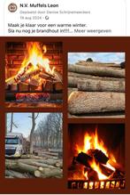 Brandhout op stam, Tuin en Terras, Brandhout, Ophalen, Stammen