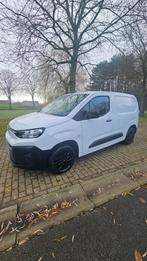 Citroën Berlingo Club M (année de construction 2024), Achat, Euro 6, 131 ch, 5 portes