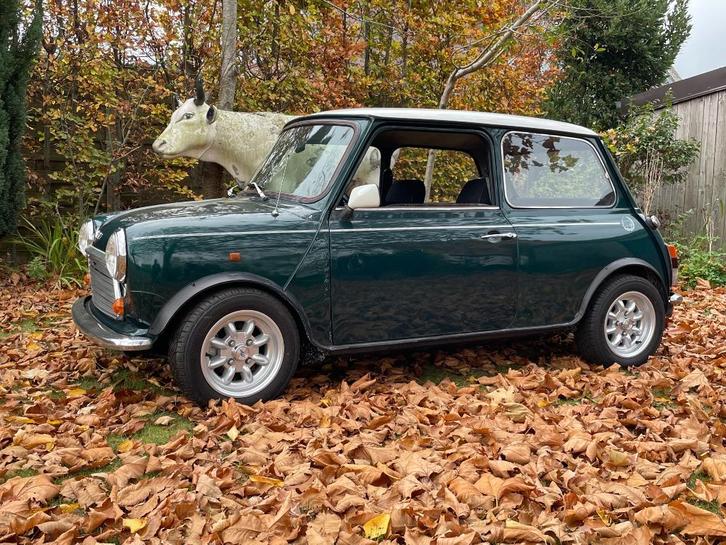 classic mini 1300cc carbu, Auto's, Oldtimers, Particulier, Mini, Ophalen