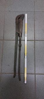 Buistang /pijptang, Ophalen of Verzenden