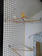 Kanaries, Dieren en Toebehoren