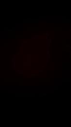 Je vend mon chowchow de 6 mois mâle, Tickets & Billets