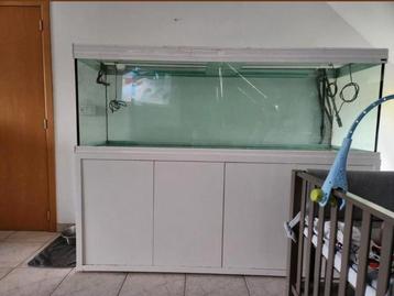 Aqualantis Aquarium + verlichting + kast + eheim filter, Enlèvement, Comme neuf