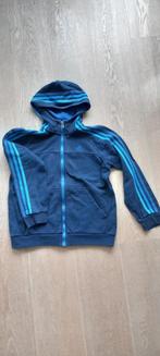 trui Adidas maat 11-12 jaar, Adidas, Gebruikt, Jongen of Meisje, Trui of Vest