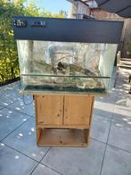 Terrarium, Dieren en Toebehoren, Ophalen, Zo goed als nieuw