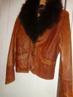 oakwood, Kleding | Dames, Ophalen of Verzenden, Nieuw, Maat 38/40 (M)