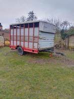 Veewagen, Dieren en Toebehoren, Runderen