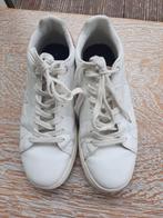 Toffe sneakers BJORN BORG - 40, Wit, Ophalen of Verzenden, Zo goed als nieuw, Sneakers