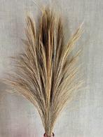 Vaas met gedroogde takken, Ophalen, Zo goed als nieuw