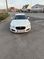 Jaguar xf, Auto's, Jaguar, 109 g/km, 22000 kg, Wit, 5 deurs