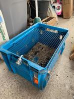 Cage transport oiseau, Enlèvement ou Envoi