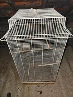 Cage disponible elevage, Ophalen, Zo goed als nieuw