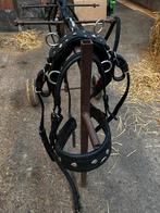 Zwart mentuig shetlander, Dieren en Toebehoren, Ophalen, Gebruikt