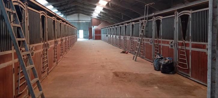 Boxen te huur, Dieren en Toebehoren, Stalling en Weidegang, Stalling