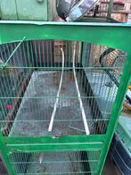 Grande cage, Animaux & Accessoires, Enlèvement